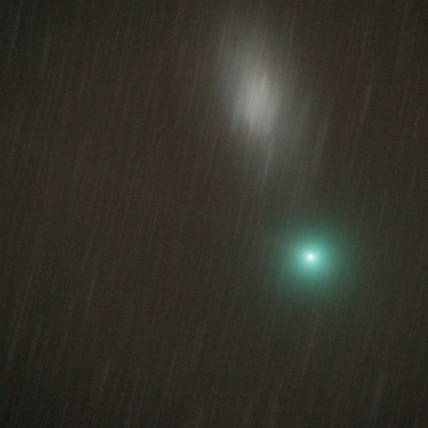 Comet Tuttle & M33 - January 2, 2008