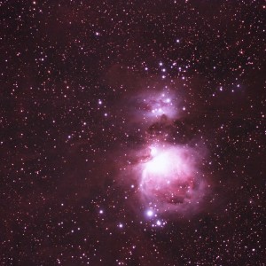 Orion Nebula