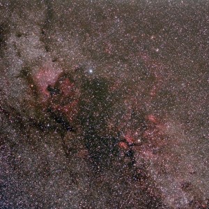 Northern Cygnus