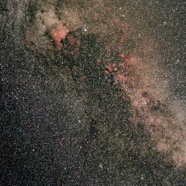 Cygnus Widefield
October 26, 2008