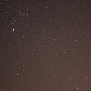 Orionid Meteor