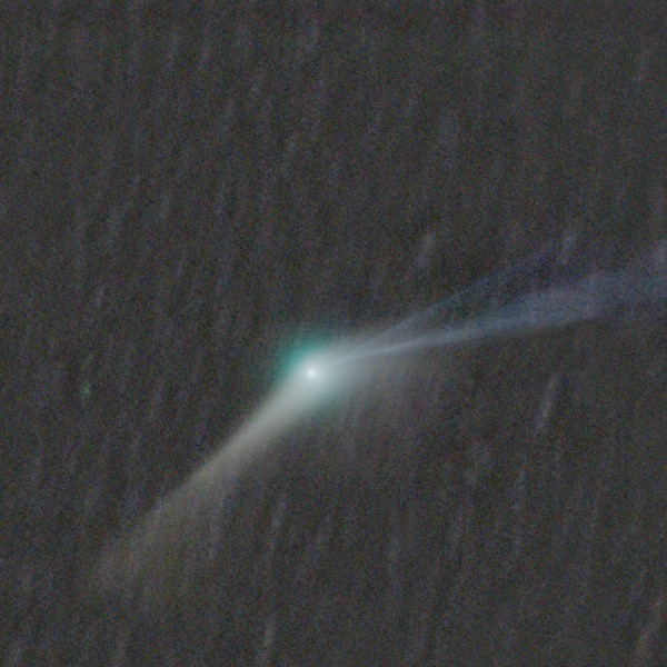 Comet Garradd - March 1, 2012